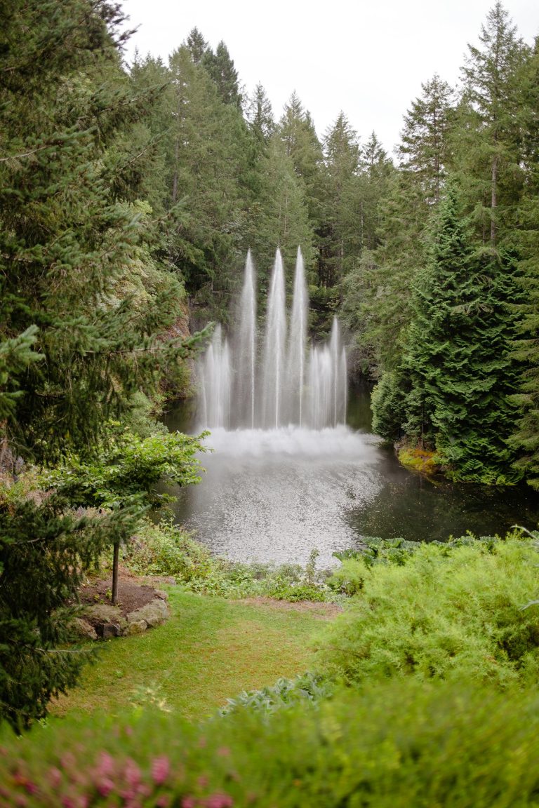 A stunning vertical shot of a fountain surrounded by lush greenery in a serene forest park.