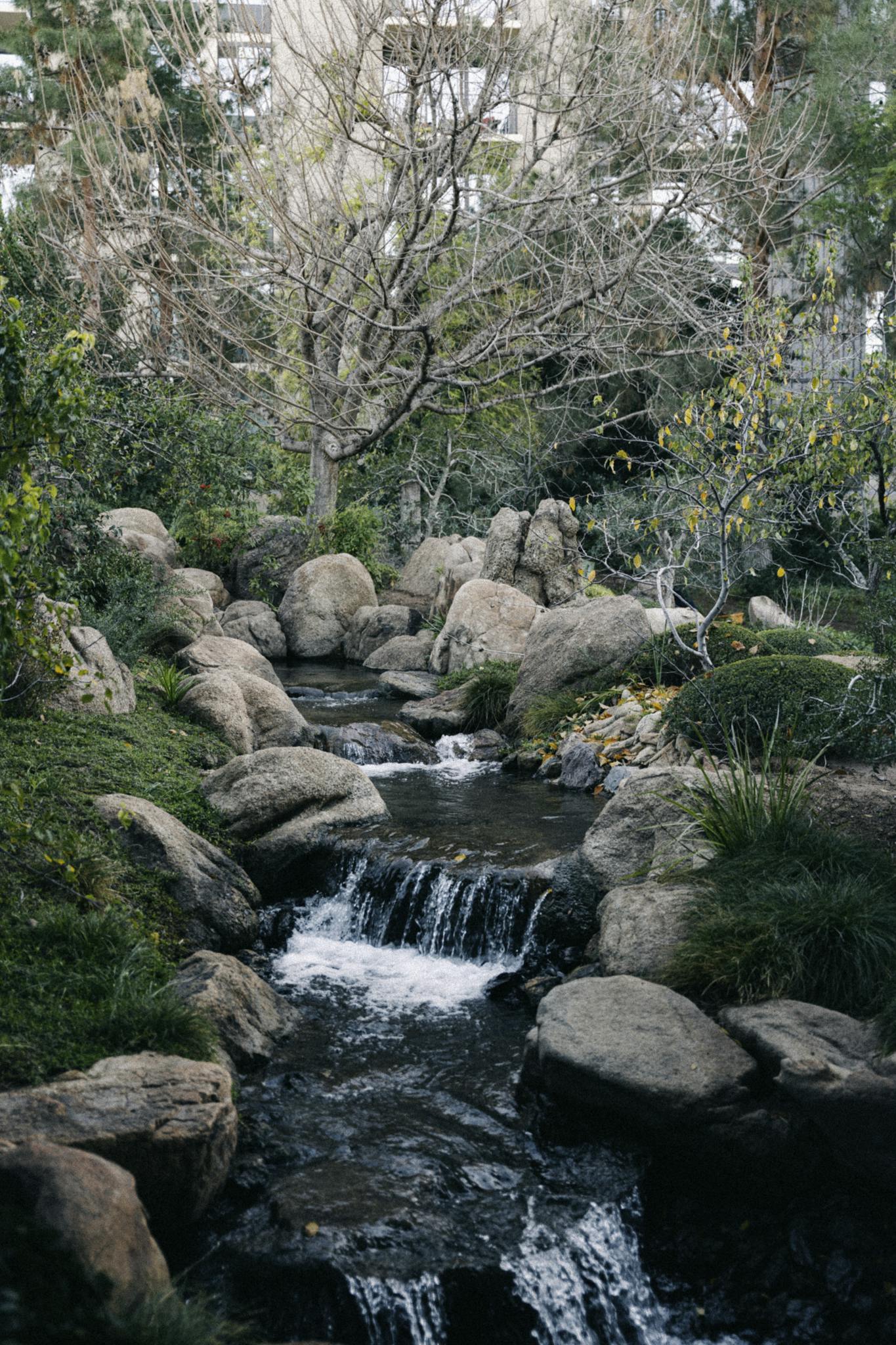 Peaceful scene of a Japanese garden with a gentle stream and stones, ideal for tranquility themes.